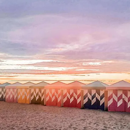 Cozy In With Wifi Daire